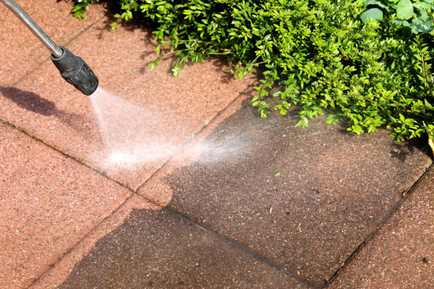Best Pressure Washing Company Near Me  in Inverness Highlands North, FL